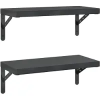 vidaXL Wandschappen 2 st 50x23,5 cm roestvrijstaal zwart