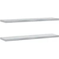 vidaXL Wandschappen 2 st 100x23,5 cm roestvrijstaal zilverkleurig