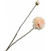 Silk-ka - Kunstbloem - dahlia - creme - H86 cm