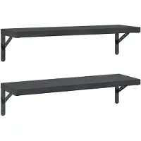 vidaXL Wandschappen 2 st 75x23,5 cm roestvrijstaal zwart