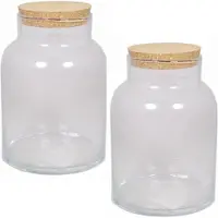 Floran terrarium vaas - 3x - glas - 8 liter - met kurk deksel - 18 x 27 cm - Plantenpot van glas