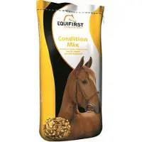 EquiFirst Condition mix
