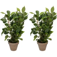 Mica Decorations 2x Groene ficus kunstplanten 40 cm - Kunstplanten