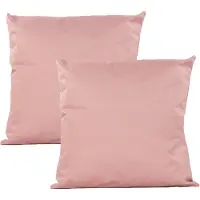 Anna's Collection Buiten of tuin sier kussens - 2x - oud roze - 45 x 45 cm - binnen/buiten - zitkussens tuinbank