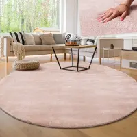 Paco Home Moderne woonkamer tapijt kortpolig wasbaar zacht uni effect bont antislip 80 cm Rund