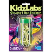 4M Glow in the Dark Dino - T-Rex Skelet - Wetenschap en Spel - Modelbouw - KidzLabs - 5+
