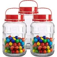 Urban Living Voedsel opslag container - 3x - glas - 5 liter - afsluitdop en draag hengsel - transparant - voorraadpot - weckpot - 16 x 28 cm