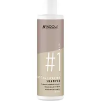 Indola Innova Root Activating Shampoo