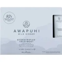 Paul Mitchell Awapuhi Wild Ginger HydraTriplex Treatment