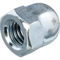 Hoenderdaal Dopmoer M10 verzinkt staal - 100 stuks