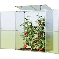 GFP 147 x 73 cm Tomatenkas