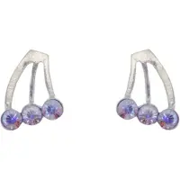Behave – Oorbellen – Sterling Zilveren Kleine Oorbellen met Multi kleur Aurore Boreale Kristal steentjes