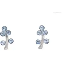 Behave – Oorbellen – Sterling Zilveren Kleine Oorbellen - Takjes Motief - Aqua Licht Blauw - Kristal steentjes