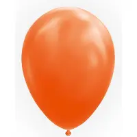 We Fiesta 10 Ballonnen 12" Oranje - Versiering Feestdecoratie Decoratie Verjaardag Jubileum Thema Feest Ballon