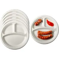 Pure - Disposable Tableware Pure BBQ/verjaardag wegwerp vakjesbordjes - 36x stuks - dia 23 cm - suikerriet - biologisch afbreekbaar
