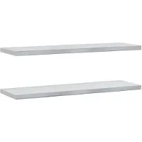 vidaXL Wandschappen 2 st 100x30 cm roestvrijstaal zilverkleurig