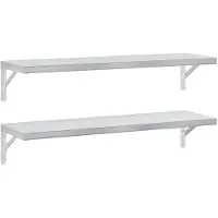 vidaXL Wandschappen 2 st 100x30 cm roestvrijstaal zilverkleurig