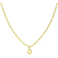 Lucardi Dames Stalen goldplated ketting closed forever letter Q - Ketting - Staal - Goudkleurig - 47 cm