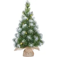 Black Box Trees Kunstkerstboom 60 cm | Norton | Besneeuwd | 15 lampjes | 58 Tips |