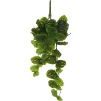Mica Decorations Kunsthangplant Peperomia H 58 Cm