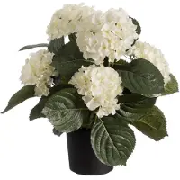 Louis Maes Kunstplant Hortensia Wit D 24 H 44 Cm