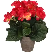 Mica Decorations Kunstplant Begonia Roze D 20 H 25 Cm