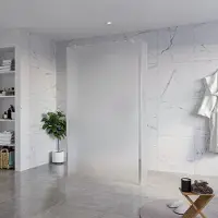 FortiFura Galeria Vrijstaande Inloopdouche - 120x200cm - Glas mat - antikalk - 8mm veiligheidsglas - 2 zijwanden 30cm - wandsteunen en hoekprofielen - Chroom SW927766 2x/SW797928/SW797931 2x/SW358024