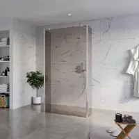 FortiFura Galeria Vrijstaande Inloopdouche - 110x200cm - Rookglas - antikalk - 8mm veiligheidsglas - 2 zijwanden 30cm - wandsteunen en hoekprofielen - Chroom SW927766 2x/SW915252/SW797930 2x/SW358024