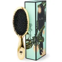 Fan Palm Brush Medium Hollywood
