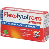 Tilman Flexofytol Forte | 28 tabletten