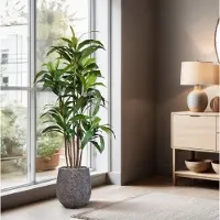 Maxifleur Kunstplanten Draceana Fragrans XL kunstboom 170cm