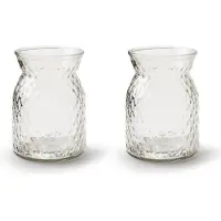 Merkloos 2x Stuks Bloemenvazen - helder bewerkt/transparant glas - H16 x D12 cm - Vazen