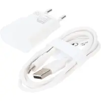 Goobay USB-A thuislader met 2 poorten en losse USB-C kabel - 2,4A / wit - 1 meter