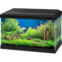 Ciano Aquarium Aqua 20 Led - Zwart - 40x20x31cm