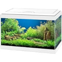 Ciano Aquarium Aqua 20 Led - Wit - 40x20x31cm