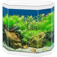 Ciano Aquarium Aqua 30 Led - Wit - 40x20x45,5cm