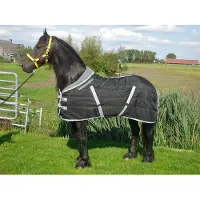 GPD Staldeken luxe met fleecekraag (300gr) goedkopepaardendekens zwart met grijs - maat 175