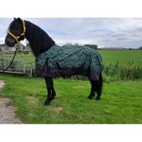 GPD Regendeken luxe 200gram Green/swirl outdoordeken-155