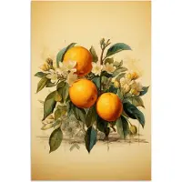 PosterMonkey Poster 60x90 cm - Vintage - Planten - Sinaasappels - Beige - Natuur - Fruit - Posters - Kamer decoratie - Wanddecoratie woonkamer - Muurdecoratie slaapkamer
