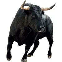 VAN IKKE Muursticker Stier XL