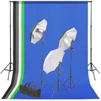 vidaXL Fotostudioset met achtergrond en verlichtingsset