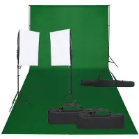 vidaXL Fotostudioset met verlichtingsset en achtergrond