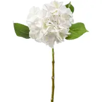 Emerald Kunstbloem hortensia tak - Challenge - 47 cm - wit - kunst zijdebloem - Hydrangea - Kunsttakken