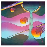 Domino Peaking Lights - Cosmic Logic (LP)