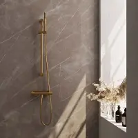 Brauer Douchekraan Opbouw Carving Met Glijstang Geborsteld Goud (Keuze Handdouche)