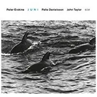 Universal Music Peter Erskine Trio - Juni (CD)