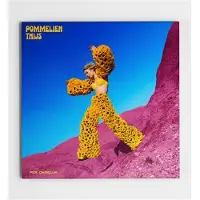 Cd Pommelien Thijs - Per Ongeluk