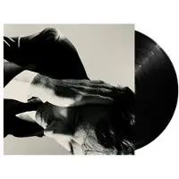 Universal Music Andrew Bird - Inside Problems (LP)