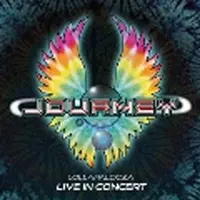 Import Live In Concert At Lollapalooza DVD