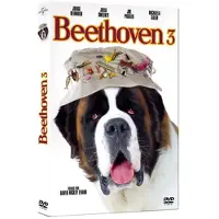 Elephant Beethoven 3 - FR